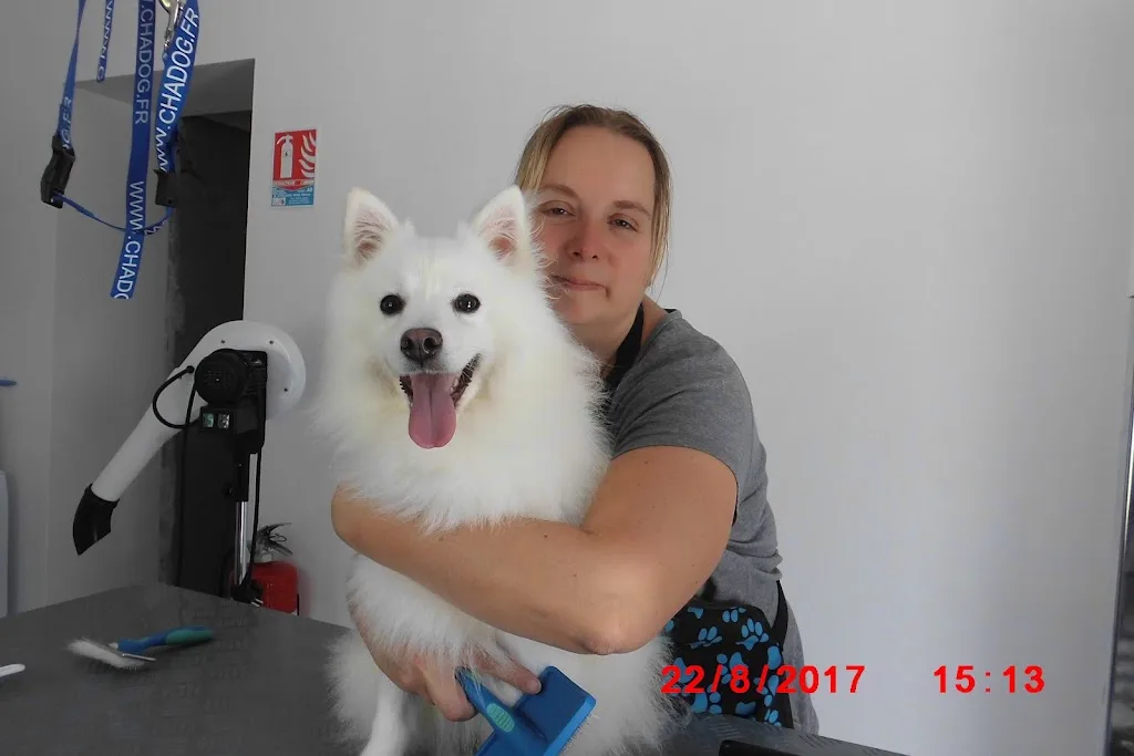 ART DOGS et Cie Toilettage - photo 3