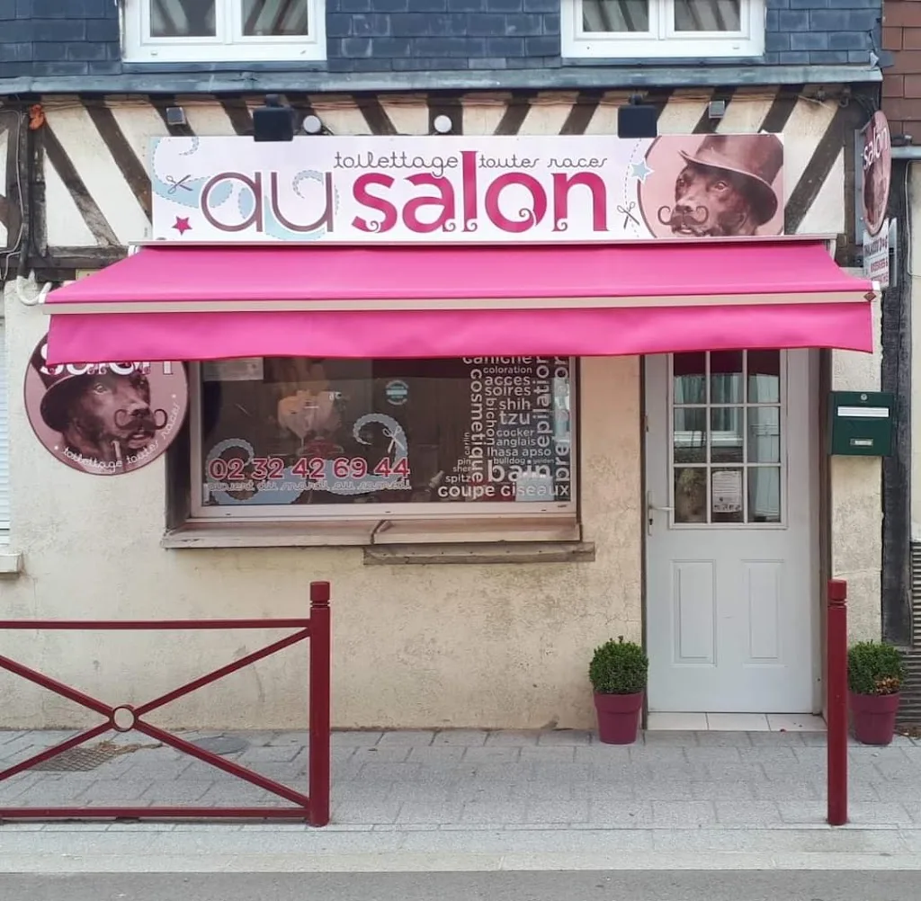 Au salon - photo 2