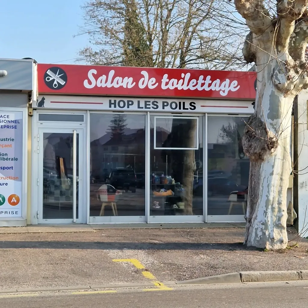 Hop les Poils - photo 1