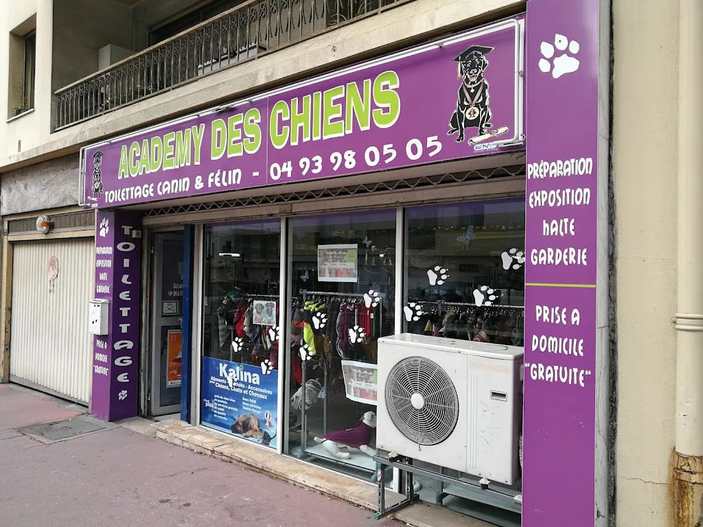 Academy des chiens - photo 1