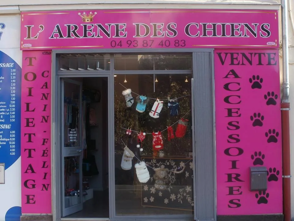 Academy des chiens - photo 2