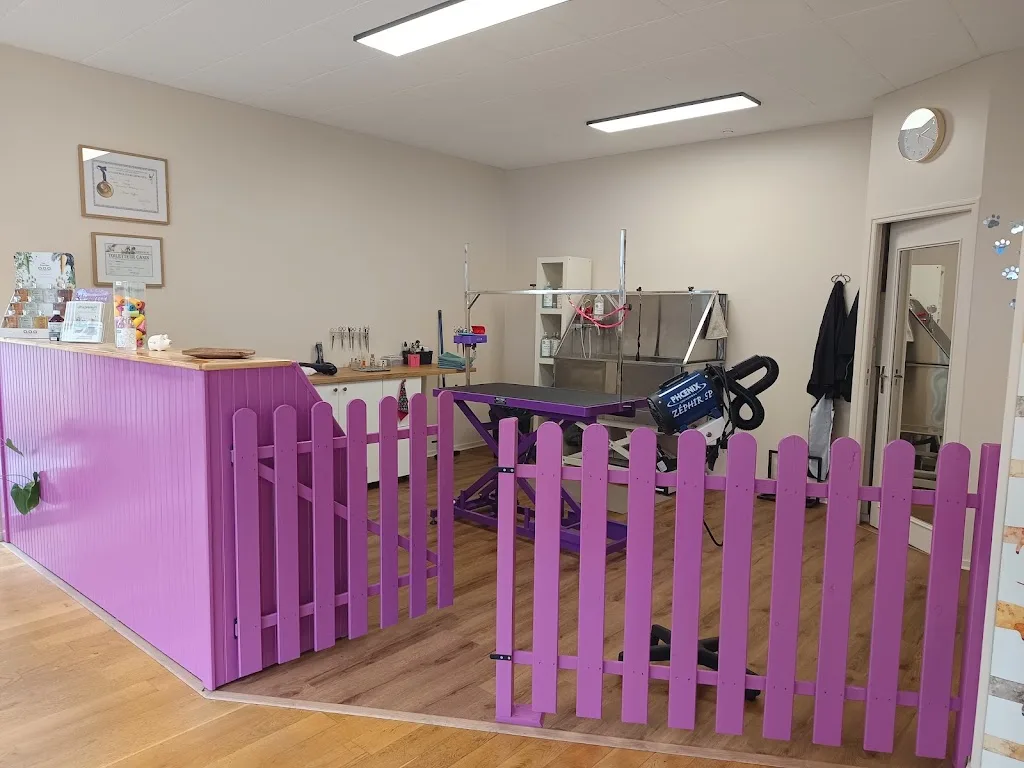 Au Toilettage de Léonie - photo 1