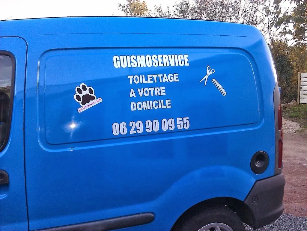 guismoservice - photo 1