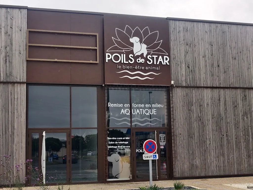 Poils de Star - photo 2
