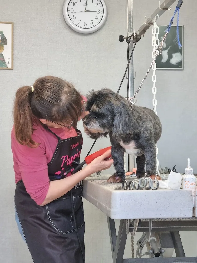 Loulou coupe - photo 3