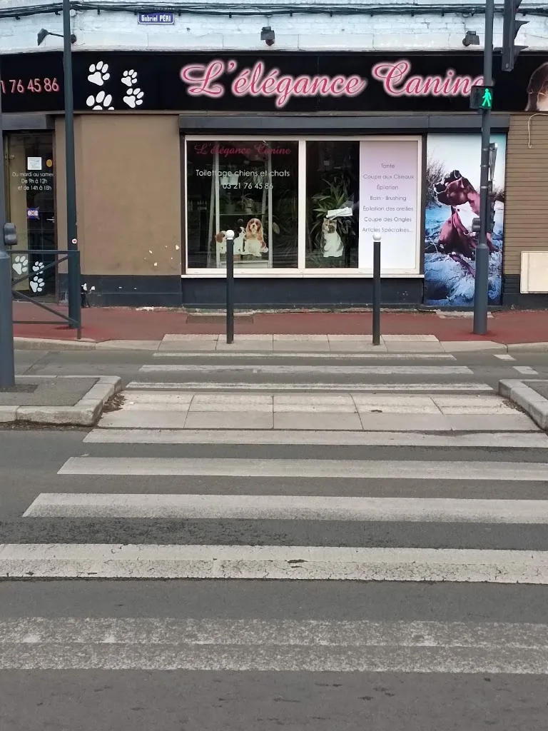 L'Elégance Canine Hénin Beaumont - photo 3