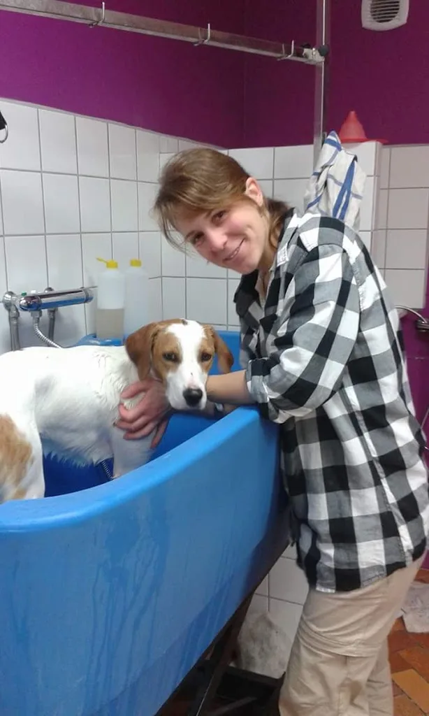 L Espace Canin - photo 3