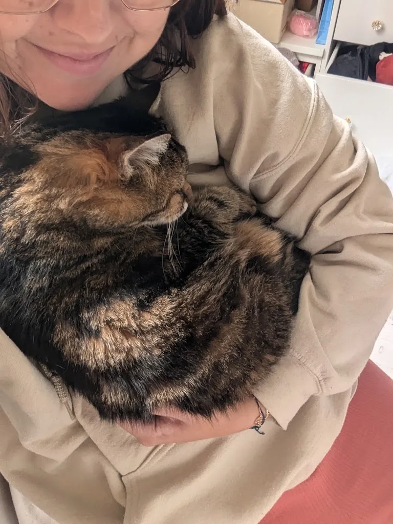 CN Pet Sitter - photo 2