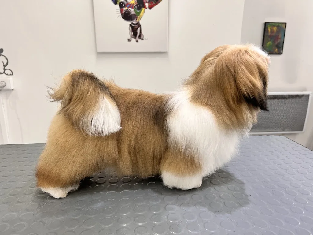 Doggy Shop - photo 2
