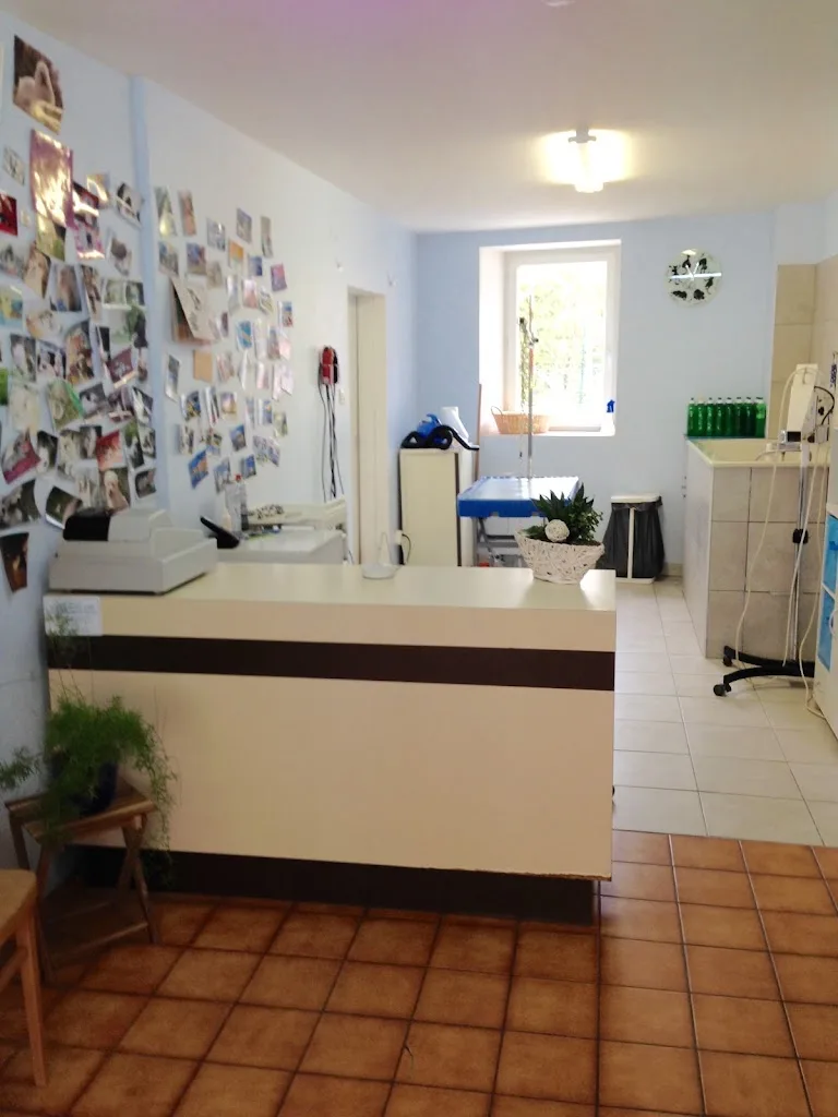 Maison Du Toutou Et Du Minou La - photo 1