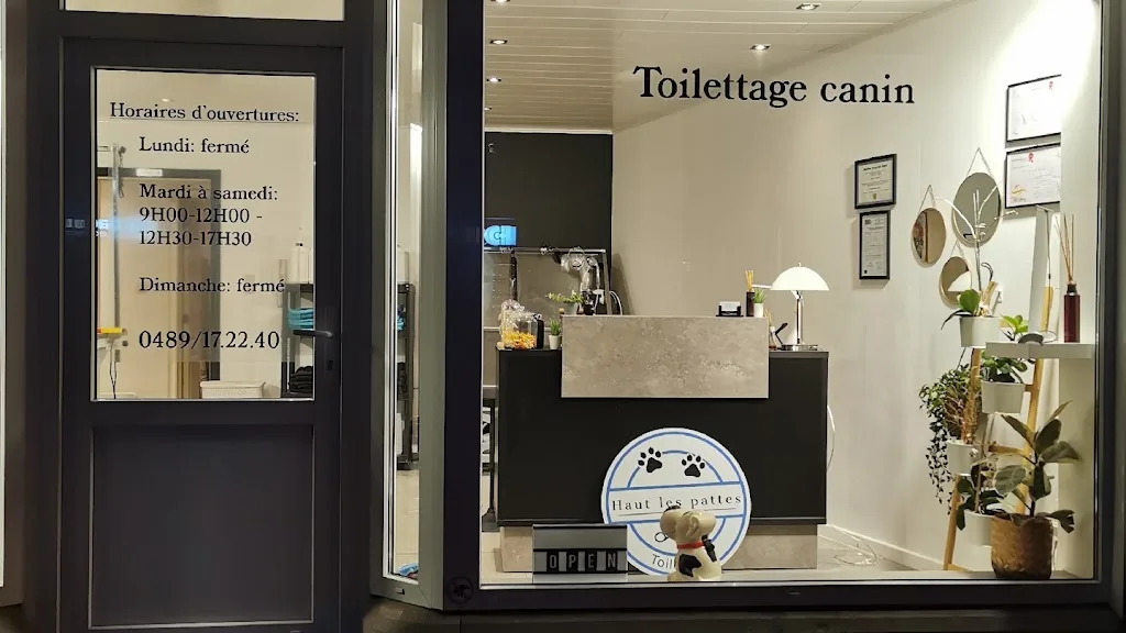 Toilettage canin O’ 4 pattes - photo 2