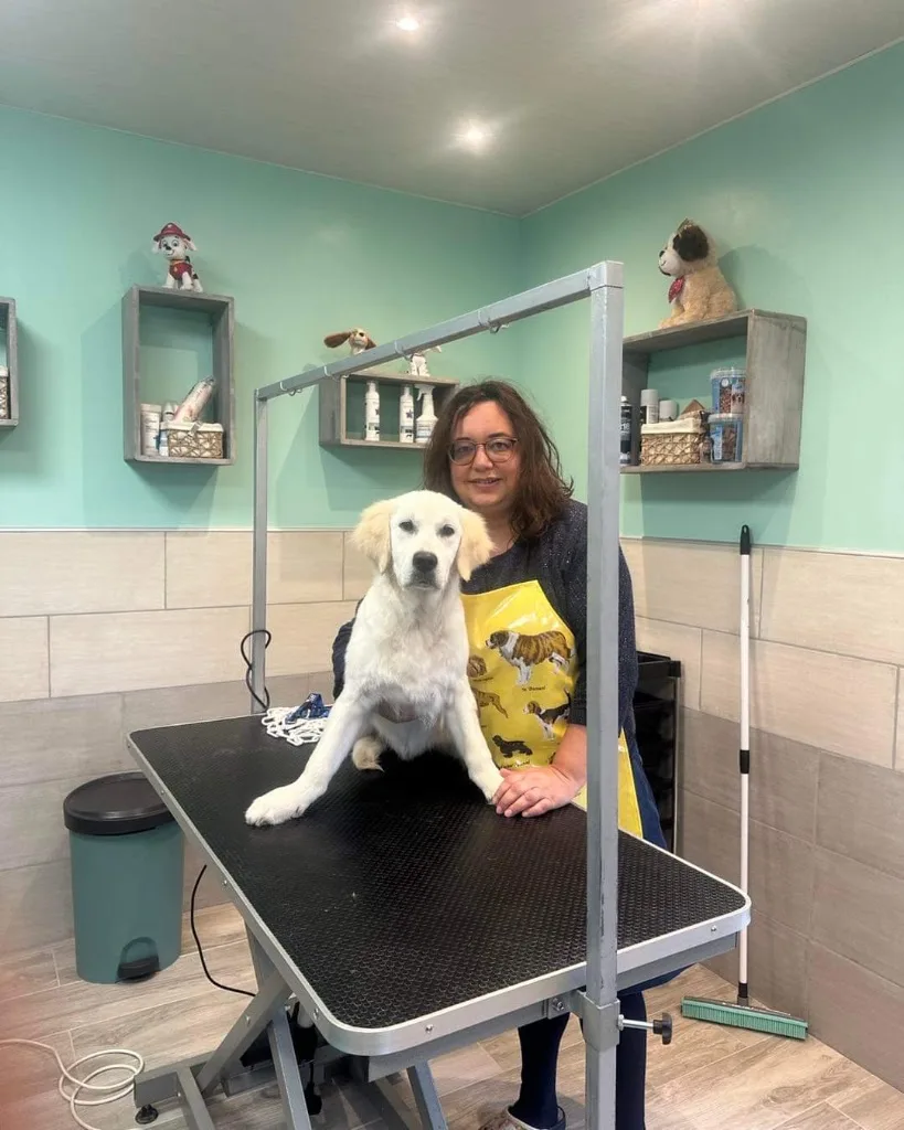 Virgin & Dog - Toiletteur ,Salon de toilettage, Toilettage, - photo 2