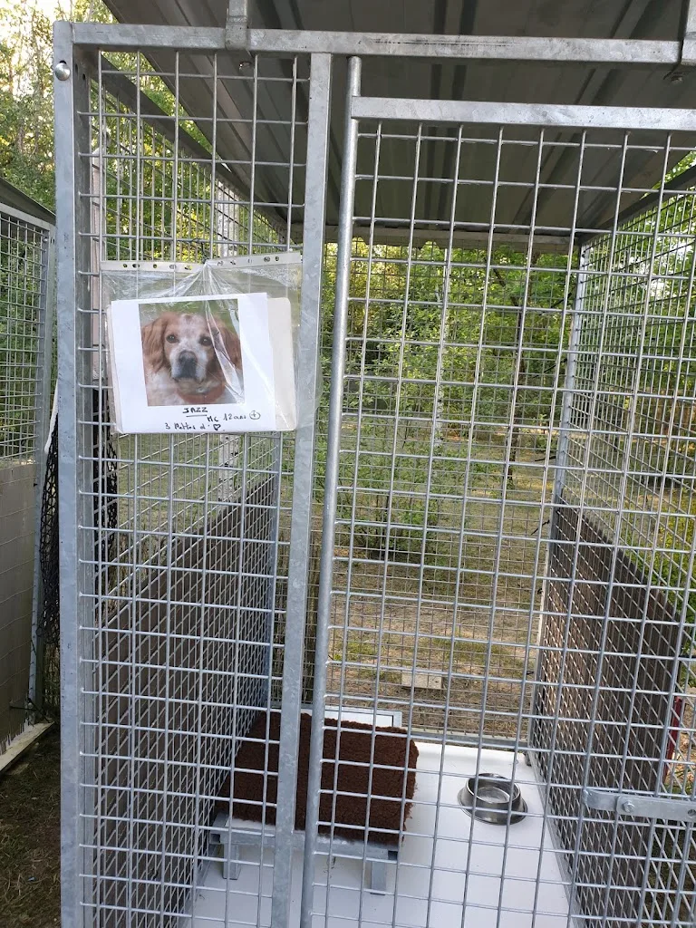 Le C'Happy Dog - photo 3