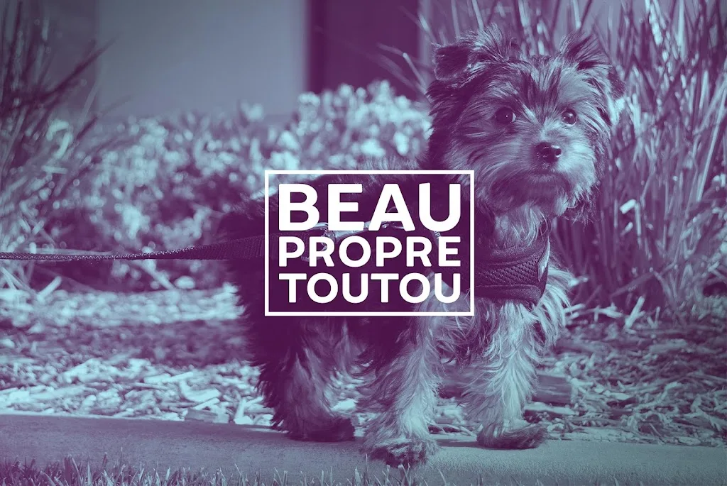 Mylaine Mathern Beau Propre Toutou - photo 1