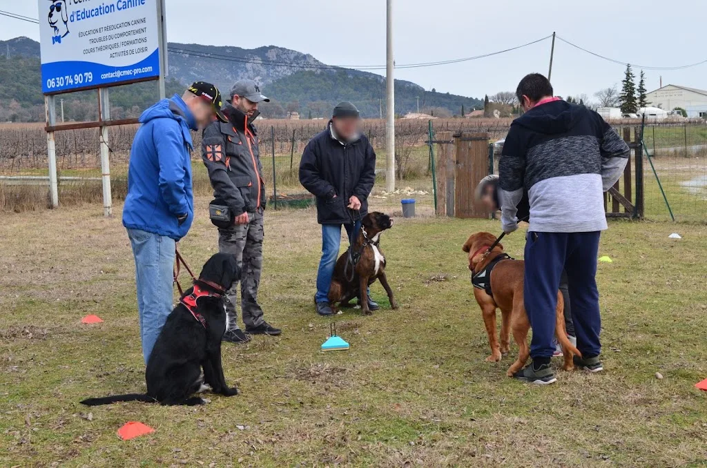 Monde Canin - photo 1