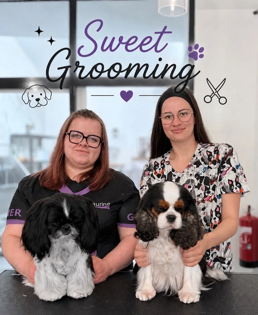 Sweet Grooming - photo 2
