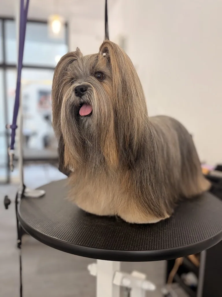 Sweet Grooming - photo 3