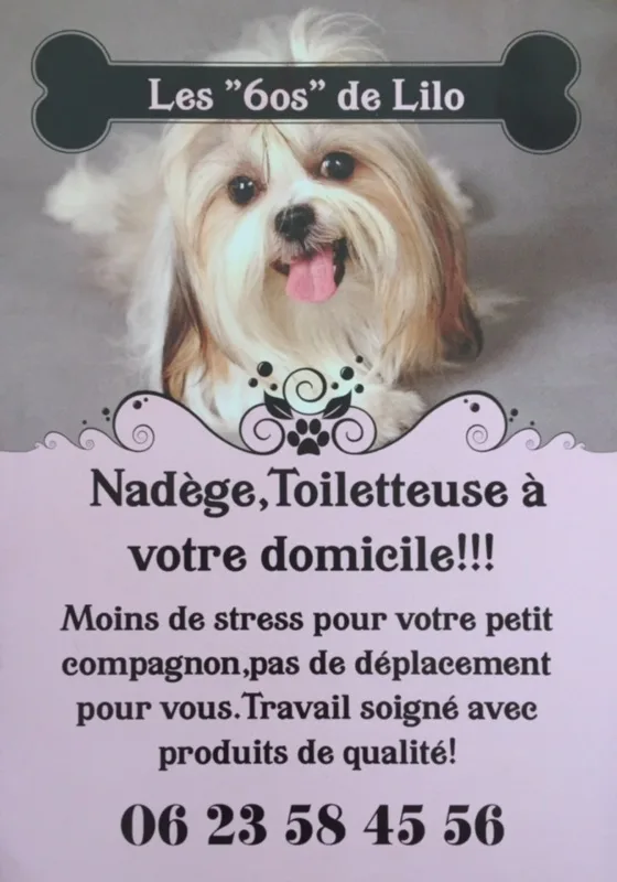 Toilettage canin les 6os de lilo - photo 2