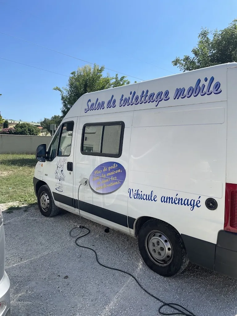 Les Six Os de Vanille - photo 1