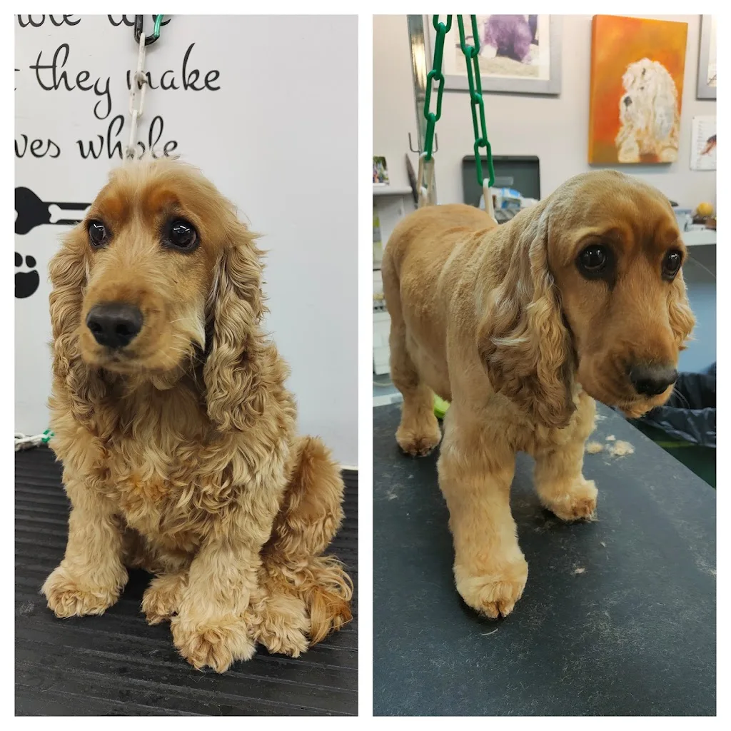 Trésor de Chien - photo 1