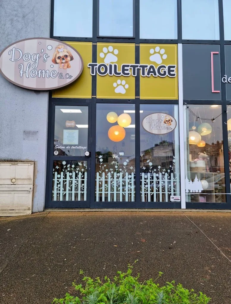 Dog's Home and Co - photo 3