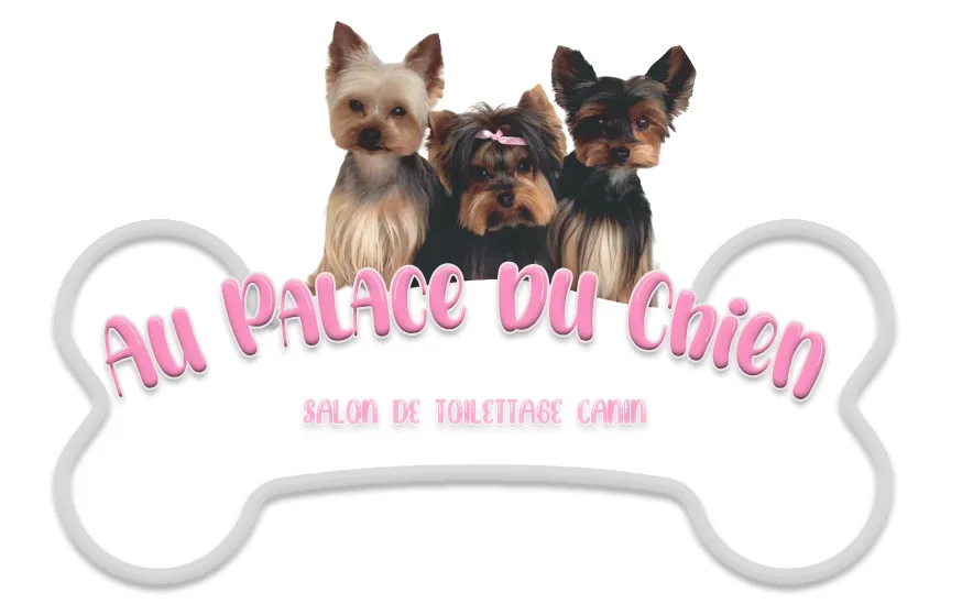 au palace du chien - photo 1
