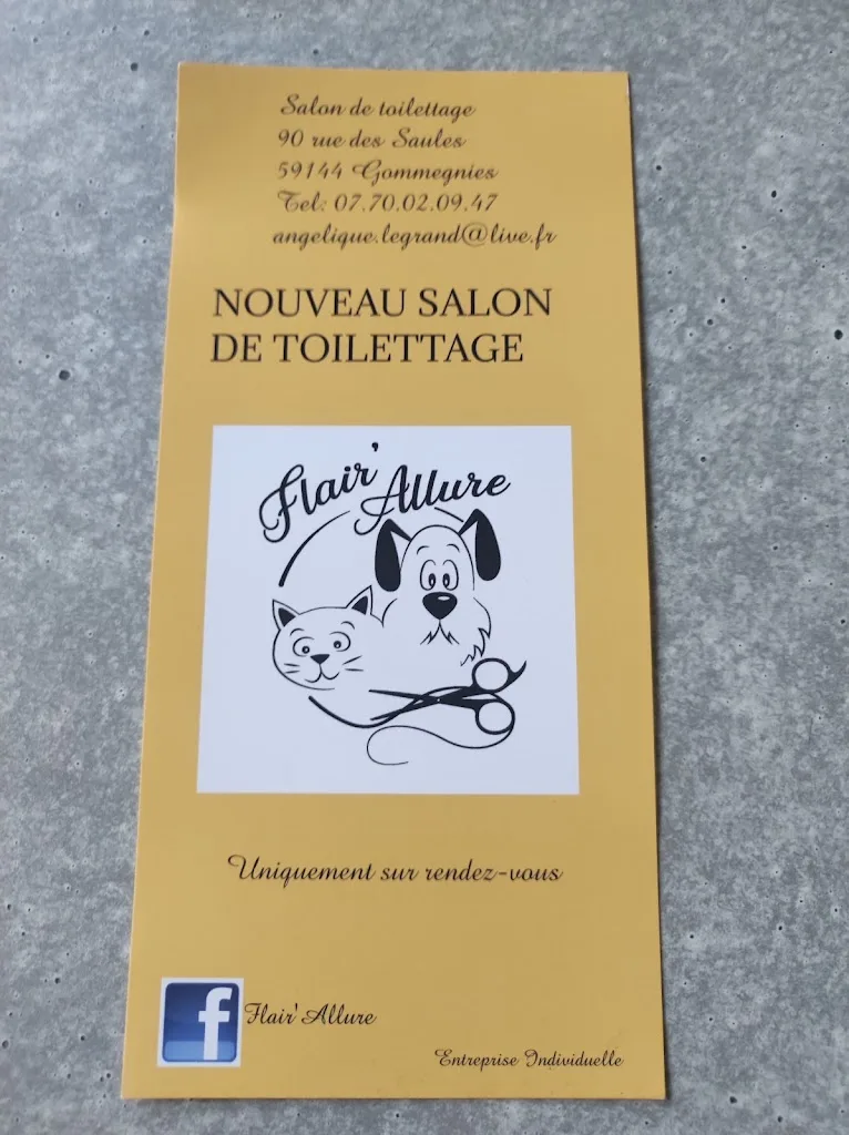 Flair'Allure - photo 1