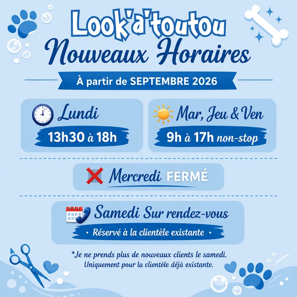 Look'à'Toutou - photo 1
