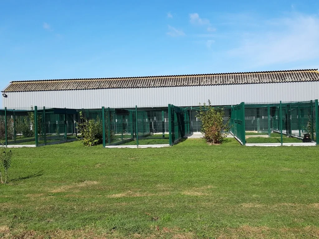 Mille Pat'hôtel - photo 2