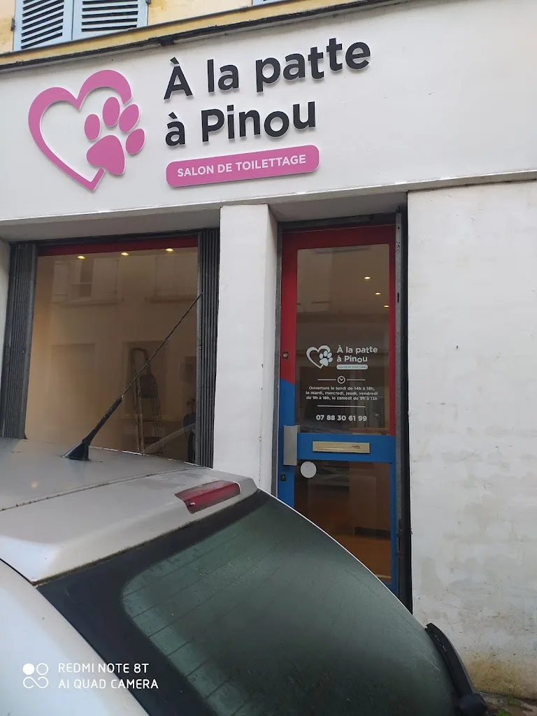 À la patte à pinou - photo 3
