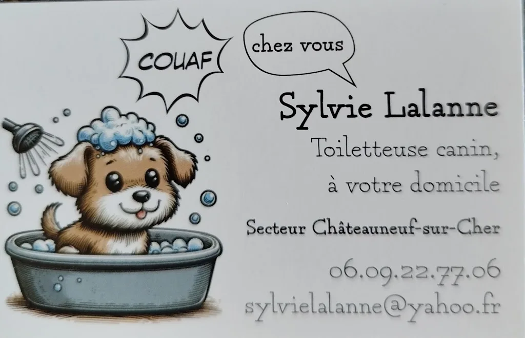 Couaf chez vous - photo 1