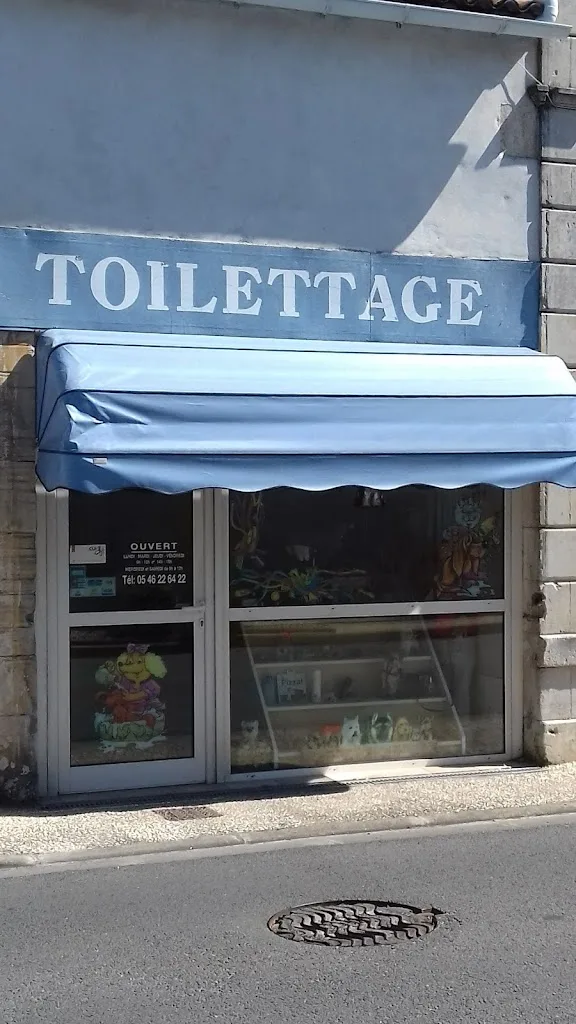 Toilettage Quat Pattes - photo 1
