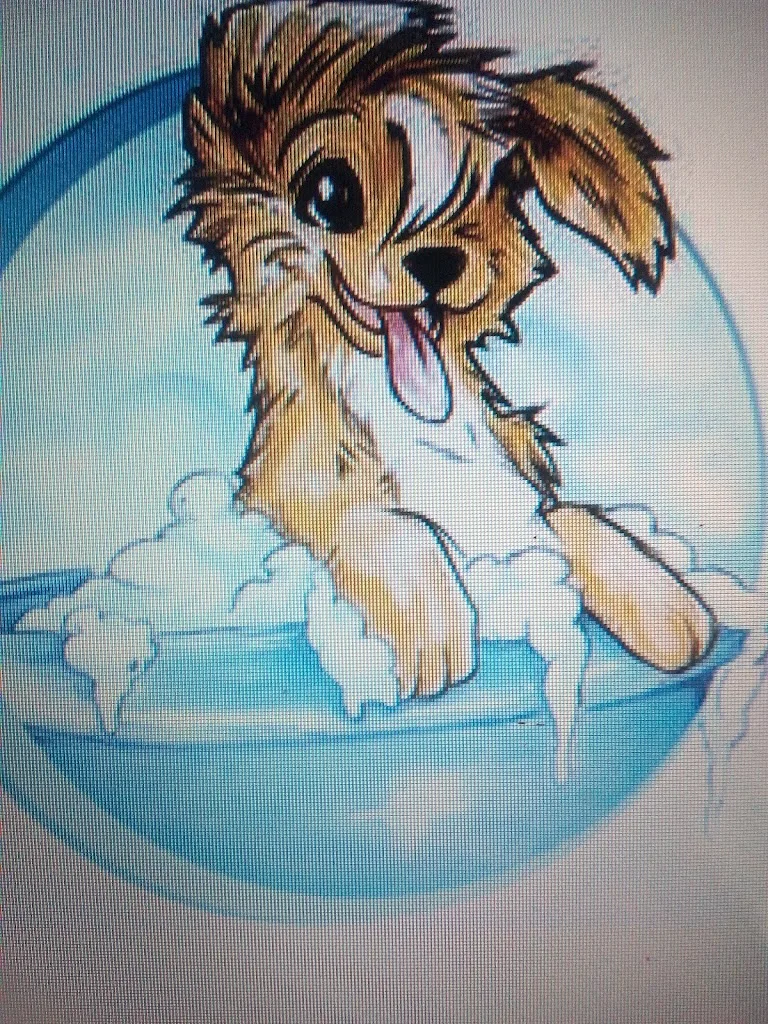 Com' Chien Et Chat, Toilettage A Domicile - photo 3