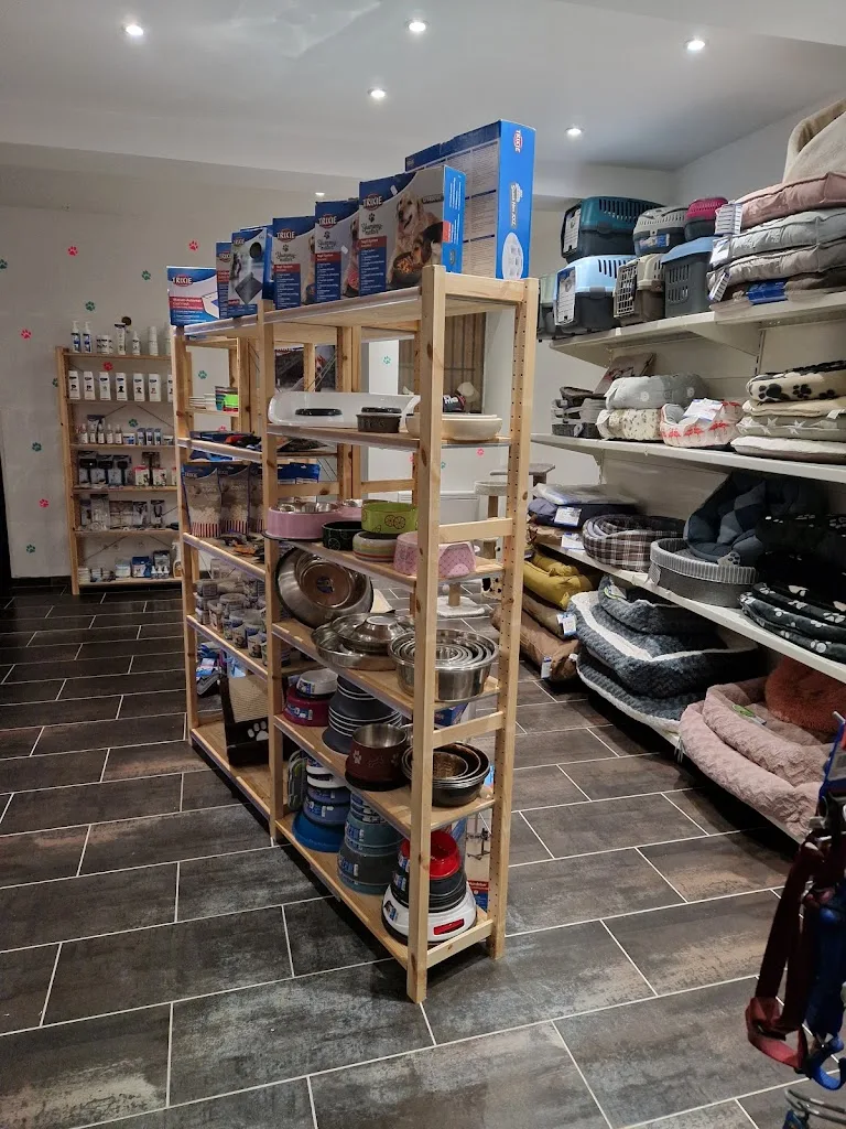 Au Bonheur des Chiens - photo 1