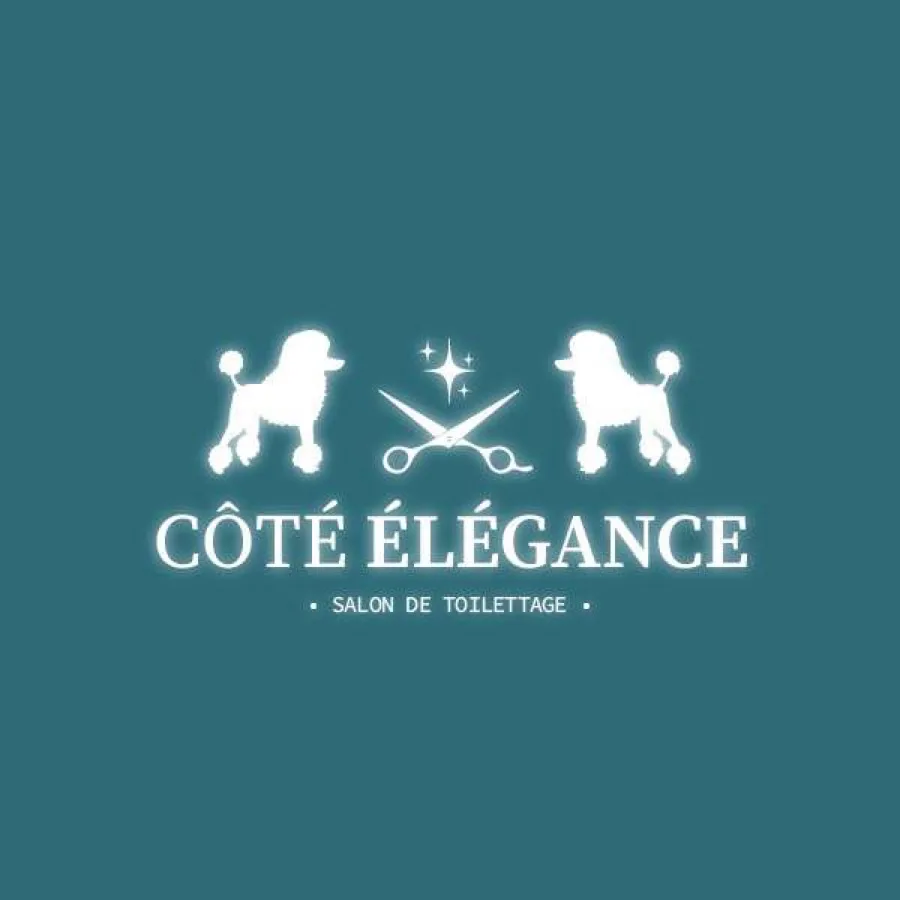 Côté Élégance Bouloc - photo 1