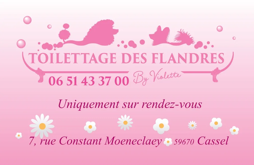 Toilettage Des Flandres - photo 1