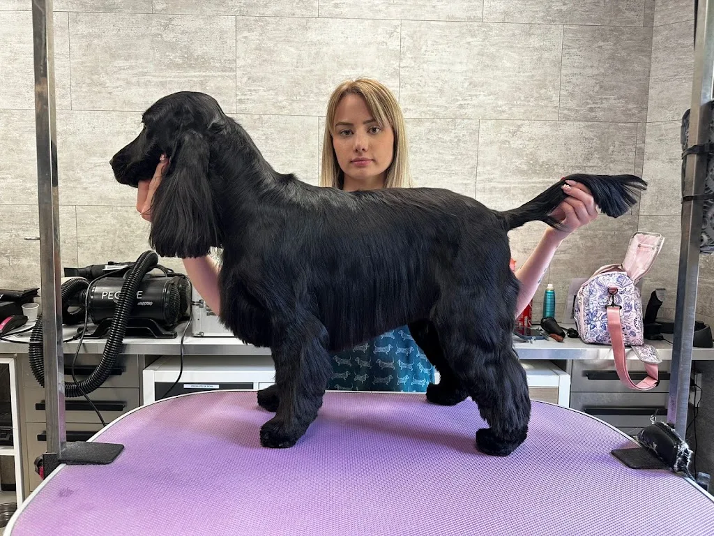 Beauté Canine - photo 2