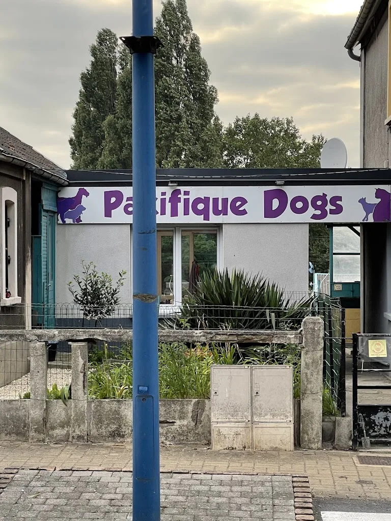 Pacifique dogs - photo 1