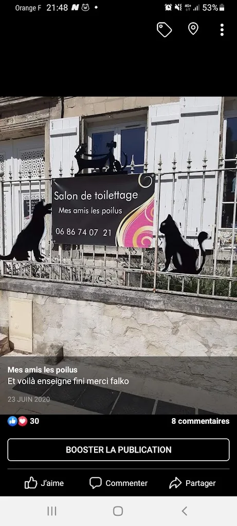 Salon de toilettage - photo 2