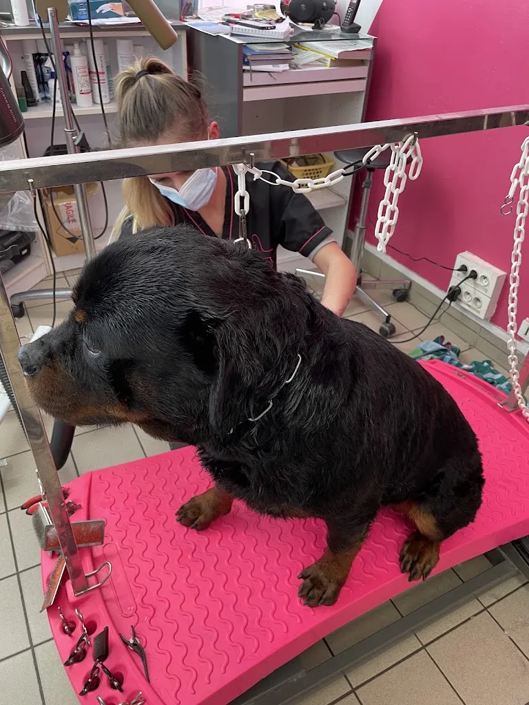 Le Barbier Canin Eurl - photo 1