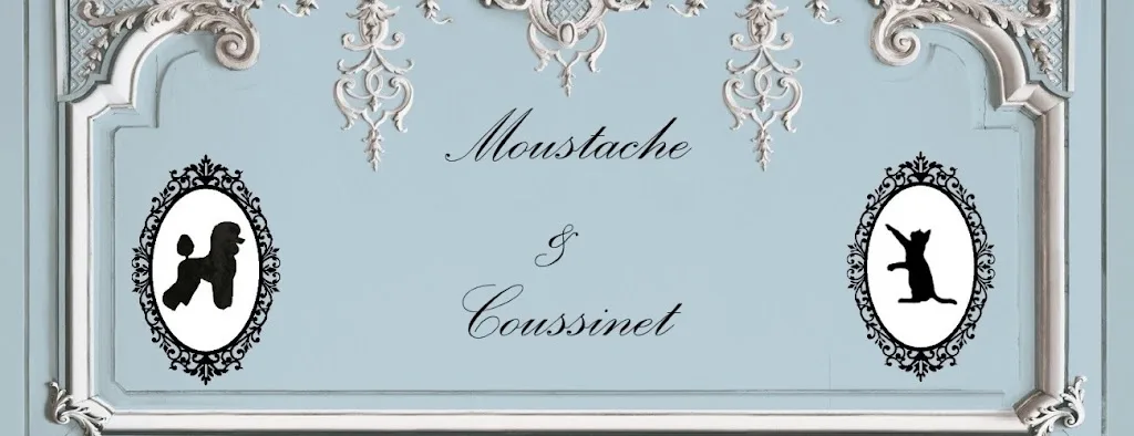 Moustache et coussinet - photo 3