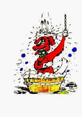 Cani-Coiff - photo 1