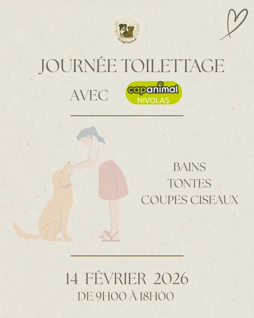 La Truffe Vagabonde - Toilettage à domicile - photo 2