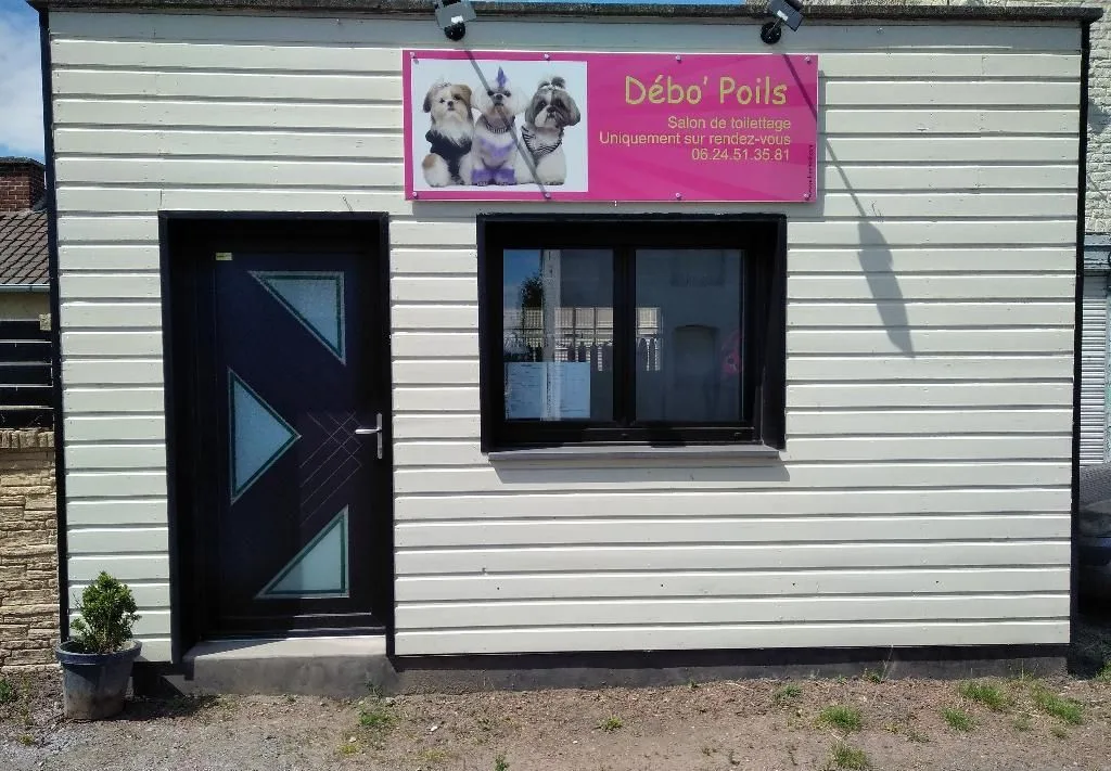 Van Daele Deborah - photo 1