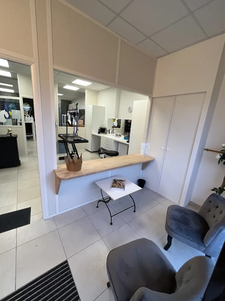 Dog’s Luxury - photo 1