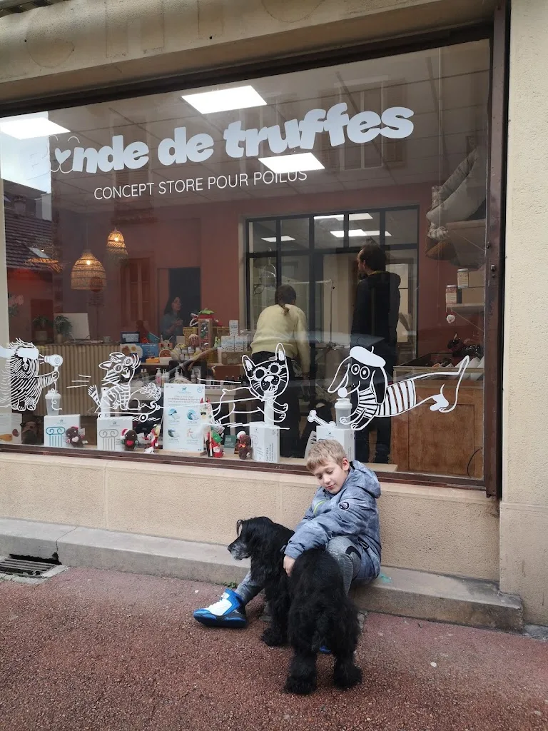 BANDE DE TRUFFES - photo 2