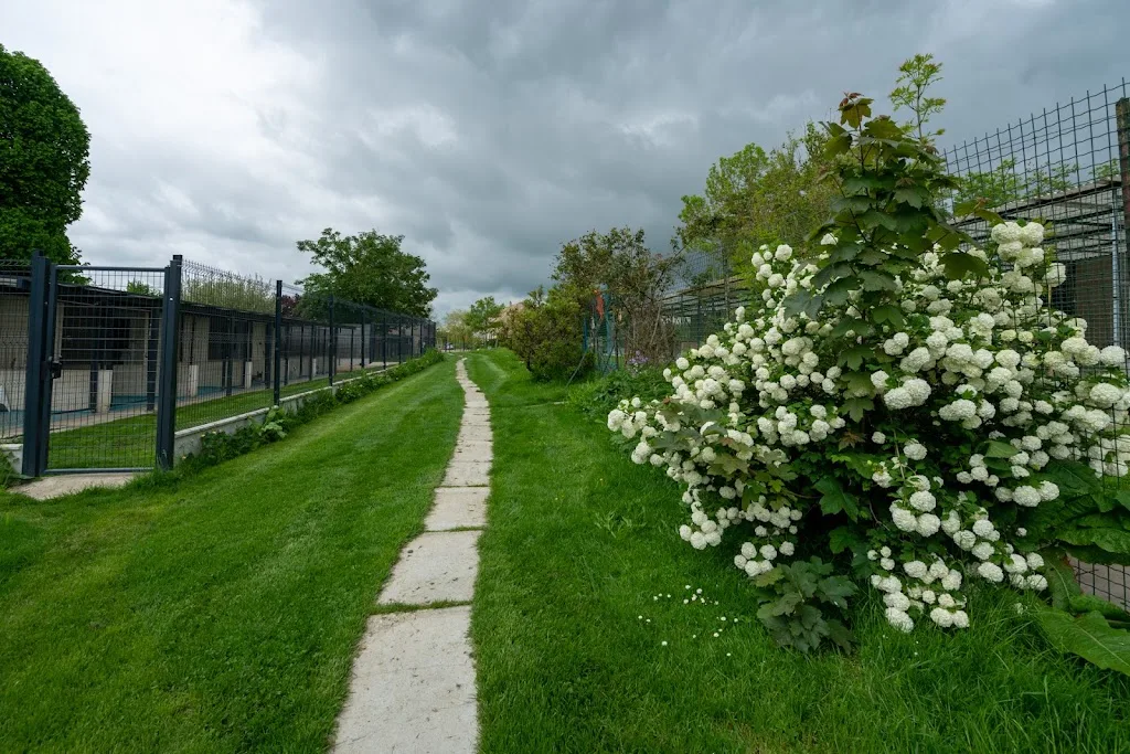 Domaine d'Orphée - photo 1
