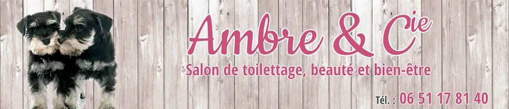Ambre & Cie Toilettage - photo 2