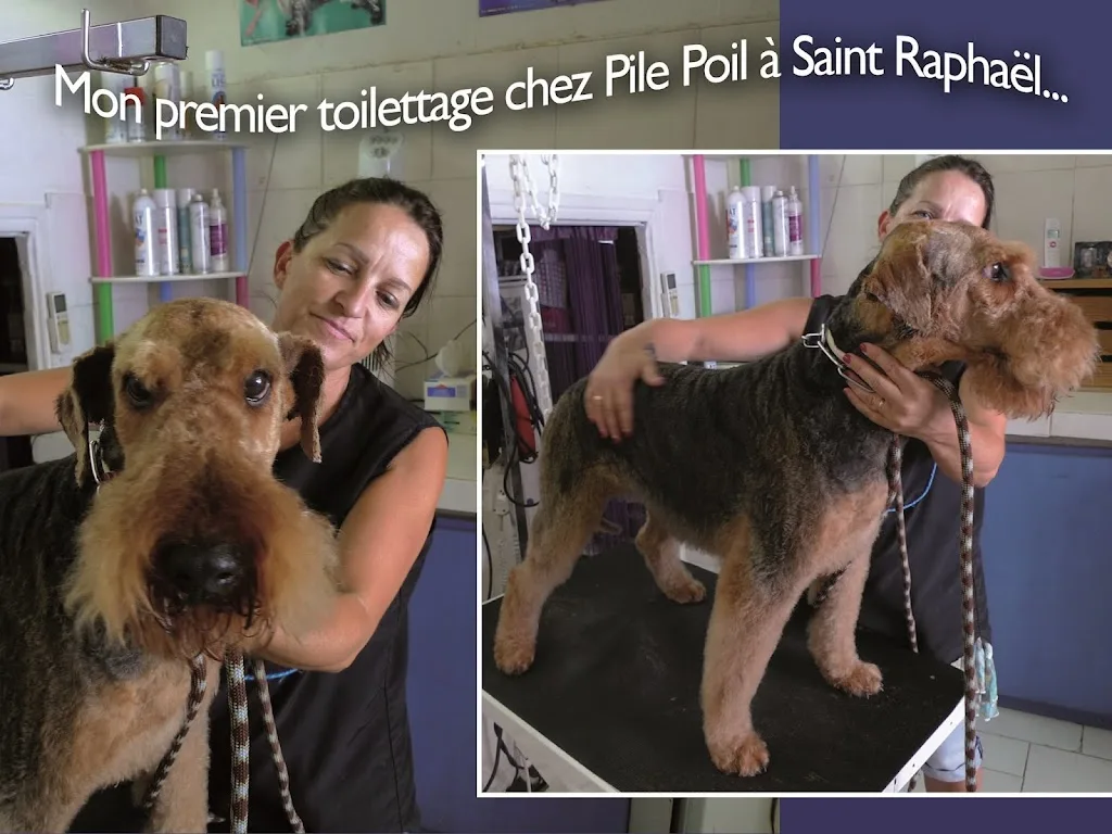 Ô poil de claviers - photo 3