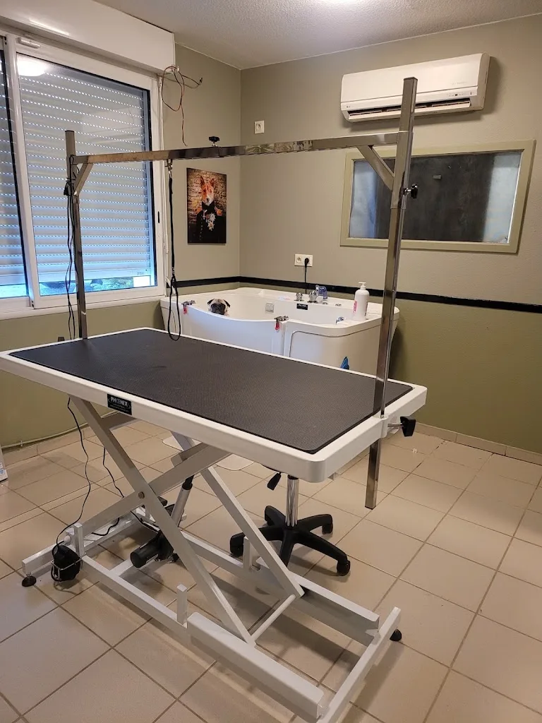 Le Bain De Lucie - photo 2